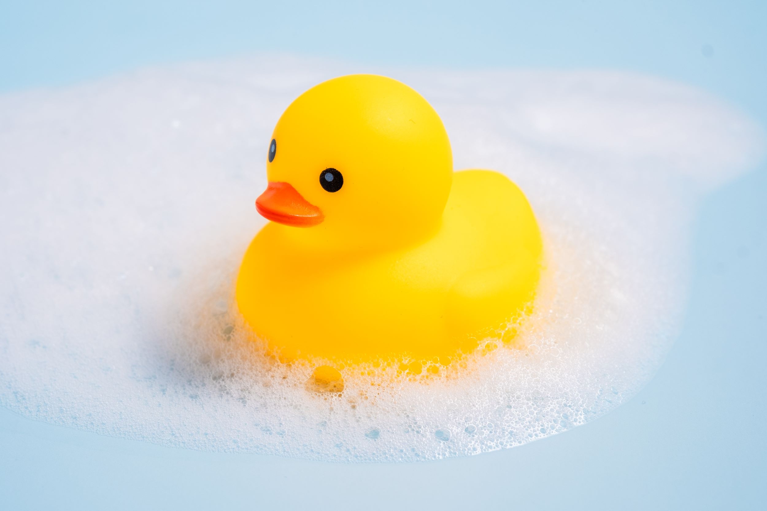 Rubber Duck Shutterstock 2444772279